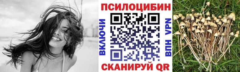 Галлюциногенные грибы GOLDEN TEACHER  Мосальск 