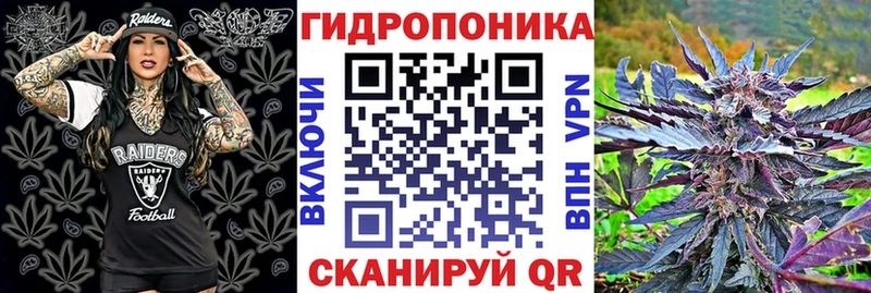 Бошки марихуана индика  цены   Мосальск 